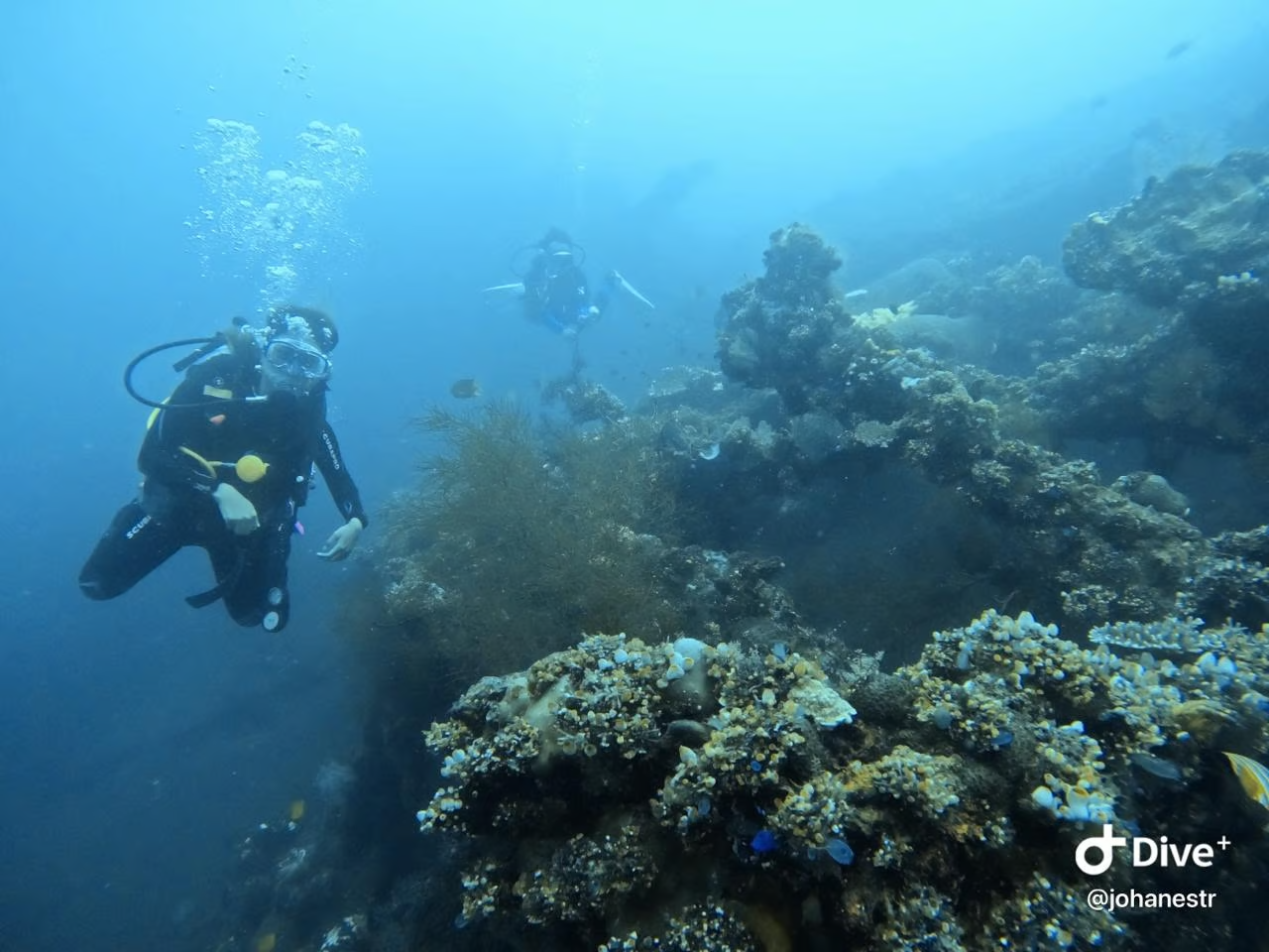 jakarta ocean explorer customer image